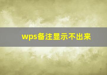 wps备注显示不出来