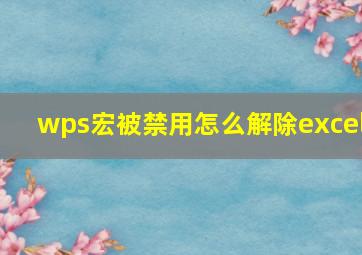 wps宏被禁用怎么解除excel