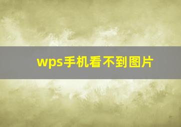 wps手机看不到图片