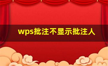 wps批注不显示批注人