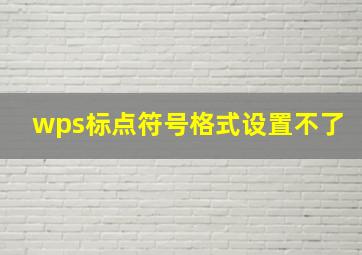 wps标点符号格式设置不了