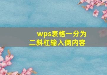 wps表格一分为二斜杠输入俩内容