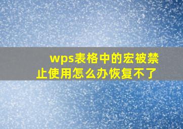 wps表格中的宏被禁止使用怎么办恢复不了