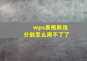 wps表格斜线分割怎么用不了了