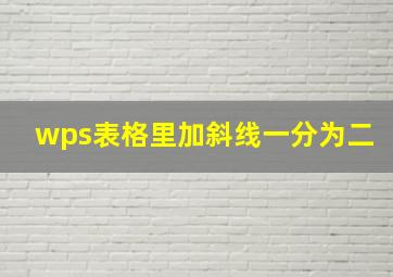 wps表格里加斜线一分为二