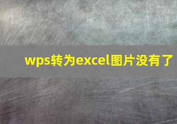 wps转为excel图片没有了