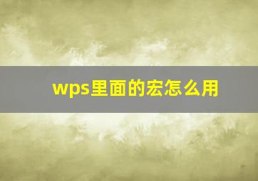 wps里面的宏怎么用