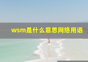 wsm是什么意思网络用语