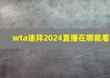 wta迪拜2024直播在哪能看