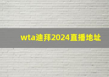 wta迪拜2024直播地址