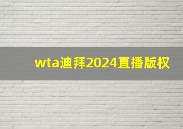 wta迪拜2024直播版权