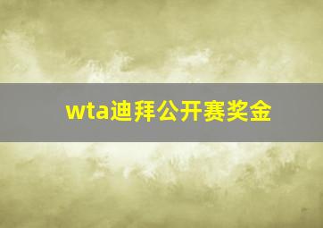 wta迪拜公开赛奖金