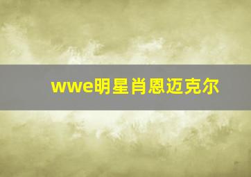 wwe明星肖恩迈克尔