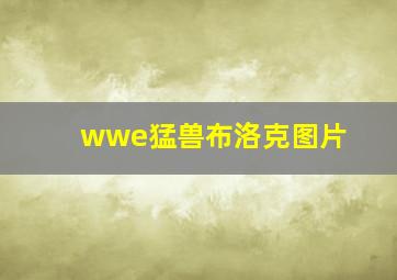 wwe猛兽布洛克图片