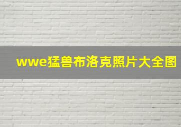 wwe猛兽布洛克照片大全图