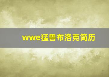 wwe猛兽布洛克简历