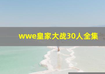 wwe皇家大战30人全集