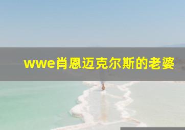 wwe肖恩迈克尔斯的老婆