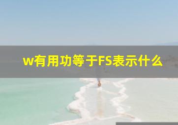 w有用功等于FS表示什么