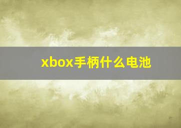 xbox手柄什么电池