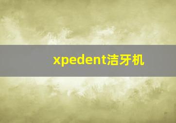 xpedent洁牙机