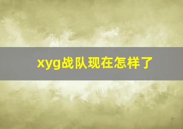 xyg战队现在怎样了