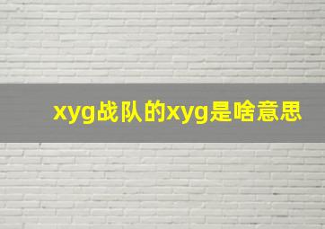 xyg战队的xyg是啥意思