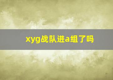 xyg战队进a组了吗