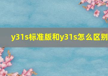 y31s标准版和y31s怎么区别