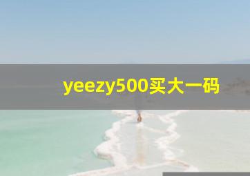 yeezy500买大一码