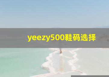 yeezy500鞋码选择