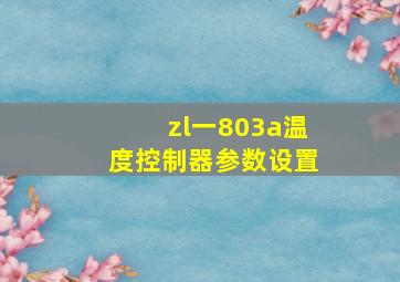 zl一803a温度控制器参数设置