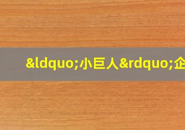 “小巨人”企业