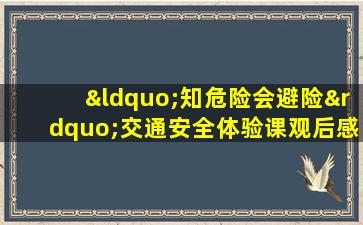 “知危险会避险”交通安全体验课观后感