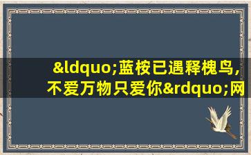 “蓝桉已遇释槐鸟,不爱万物只爱你”网名