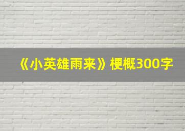 《小英雄雨来》梗概300字