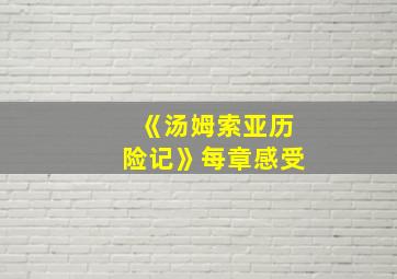 《汤姆索亚历险记》每章感受