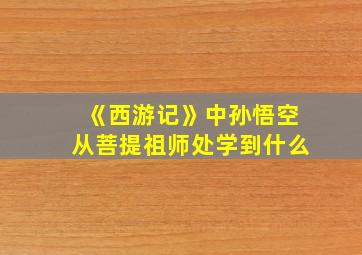 《西游记》中孙悟空从菩提祖师处学到什么