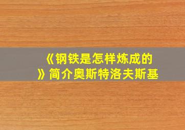 《钢铁是怎样炼成的》简介奥斯特洛夫斯基