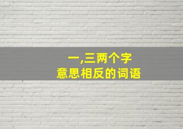 一,三两个字意思相反的词语