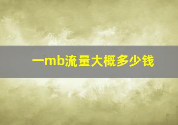 一mb流量大概多少钱