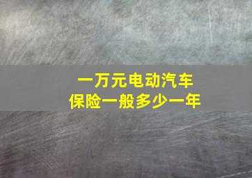 一万元电动汽车保险一般多少一年