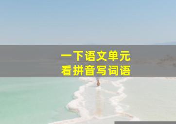 一下语文单元看拼音写词语