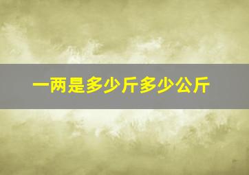 一两是多少斤多少公斤