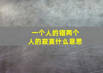 一个人的错两个人的寂寞什么意思