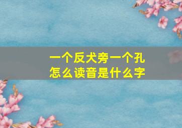 一个反犬旁一个孔怎么读音是什么字