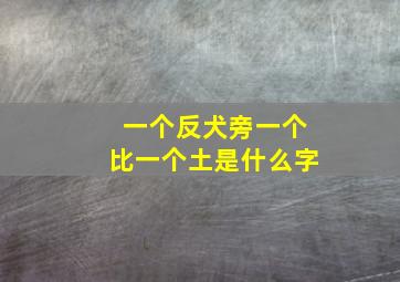 一个反犬旁一个比一个土是什么字