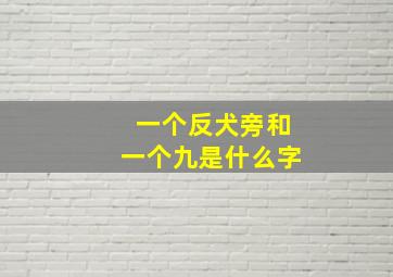 一个反犬旁和一个九是什么字