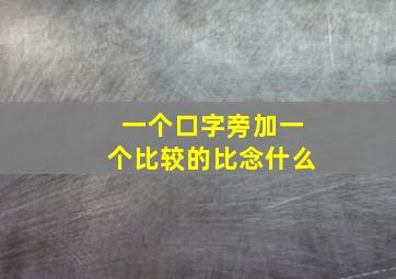 一个口字旁加一个比较的比念什么