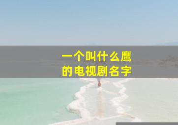 一个叫什么鹰的电视剧名字